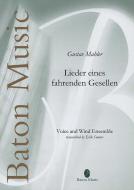 Lieder eines fahrenden Gesellen Standard