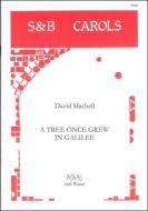 A Tree Once Grew In Galilee 