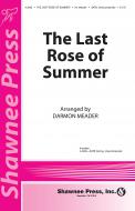 The Last Rose Of Summer 