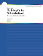 So klingt's im Schwabeland 