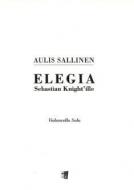 Elegie an Sebastian Knight 