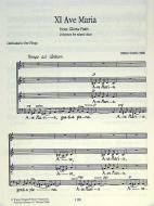 Gloria patri No 11, 12 op. 17 