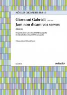 Jam non dicam vos servos Standard
