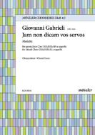 Jam non dicam vos servos Standard