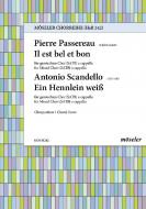Il est bel et bon / Ein Hennlein weiss Standard