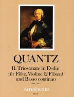 11. Triosonate in D-dur QV 2:10 