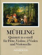 Quintette en mi mineur op. 27 