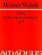 Trio op. 11 en ré mineur 