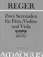 Deux sérénades op. 77a en ré majeur et op. 141a en sol majeur 