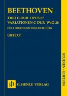 Trio C-Dur, Variationen C-Dur op 87 und 28 