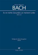Es ist nichts Gesundes an meinem Leibe 