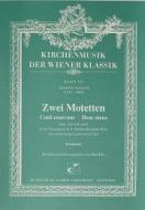 2 motets 