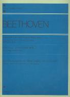 Piano Sonatas Vol. 1 