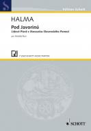 Pod Javorinú Standard
