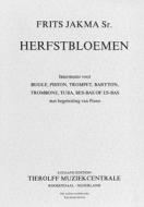 Herbstblumen 