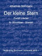 Der kleine Stern 