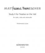Study II for Treatise on the Veil Standard