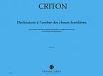 Déclinaison à l'ombre des choses familières 