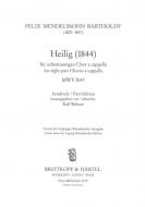 Heilig MWV B 47 