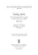 Heilig MWV B 47 