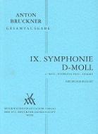 Symphony No.9 Critical Report 