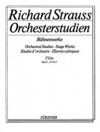 Orchestra Studies: Flute Vol. 2 