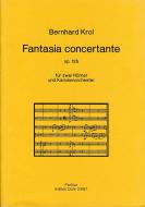 Fantasia concertante für zwei Hörner und Kammerorchester 