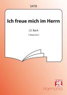 Ich freue mich im Herrn 