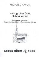Herr großer Gott dich loben wir 
