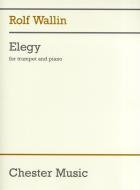 Elegi 