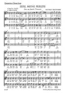 Jesu, meine Freude BuxWV 60 Standard