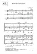 Vere languores nostros für gleiche Stimmen a cappella 