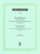 3 Kadenzen zu W.A. Mozarts Konzert C-Dur KV299 (297c) 