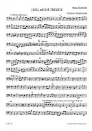 Jesu, meine Freude BuxWV 60 Standard