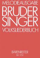 Bruder Singer Standard