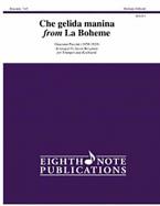 Che gelida manina from La Boheme 