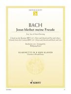 Jésus que ma joie demeure BWV 147 Standard