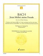 Jésus que ma joie demeure BWV 147 Standard