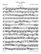 Concerto en fa majeur TWV 53:F1 