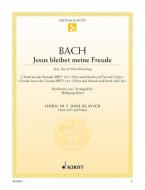 Jésus que ma joie demeure BWV 147 Standard