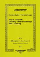 Die Baßtrompete: Janacek/Strawinsky/Rihm 