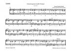 Concerto grosso en ré mineur op. 45049 HWV 316 