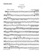 Symphonie en ré majeur KV 141a (161) 