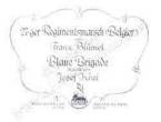 Blaue Brigade (70er Regimentsmarsch) 