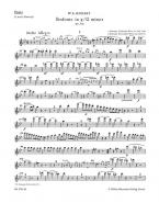 Symphonie No. 40 en sol mineur KV 550 
