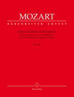 Unser dummer Pöbel meint. Dix variations en sol majeur KV 455 Standard