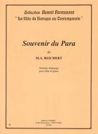 Souvenir du para (andante élégiaque) 