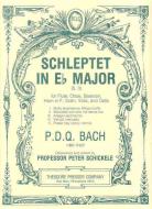 Schleptet S. 0 