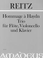 Hommage à Haydn (2009) 