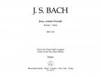 Jesu, meine Freude BWV 227 